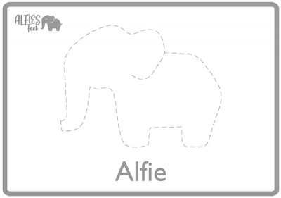ALFIES-Ruler-2-Alfie